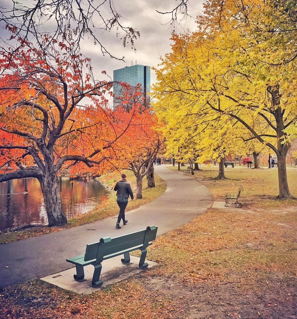 30 Free Things To Do In Boston In October The Boston Calendar